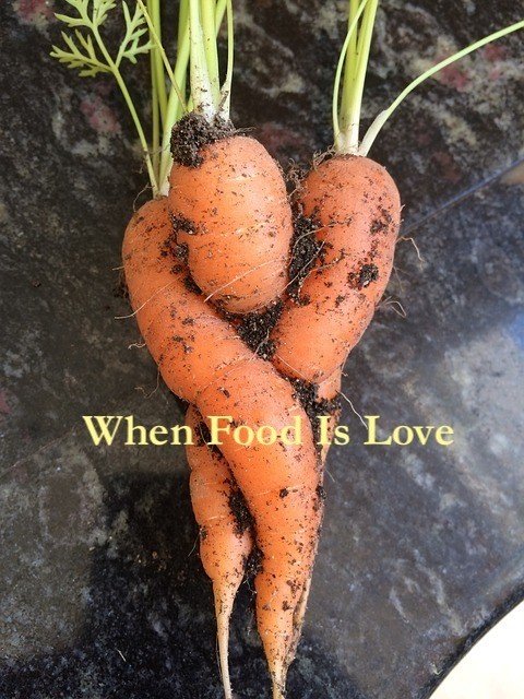 carrots twisted together like lovers